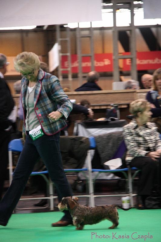 Crufts2011_2 1053.jpg